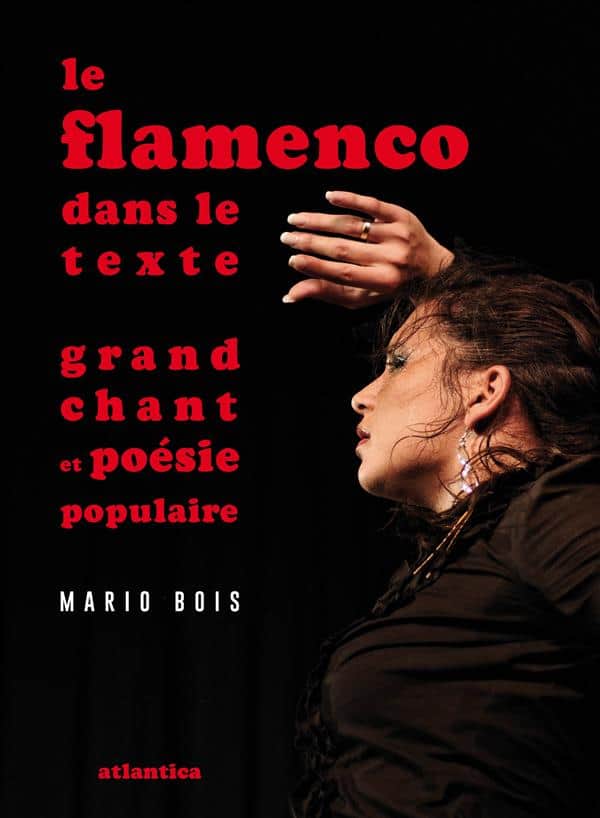 Le flamenco dans le texte